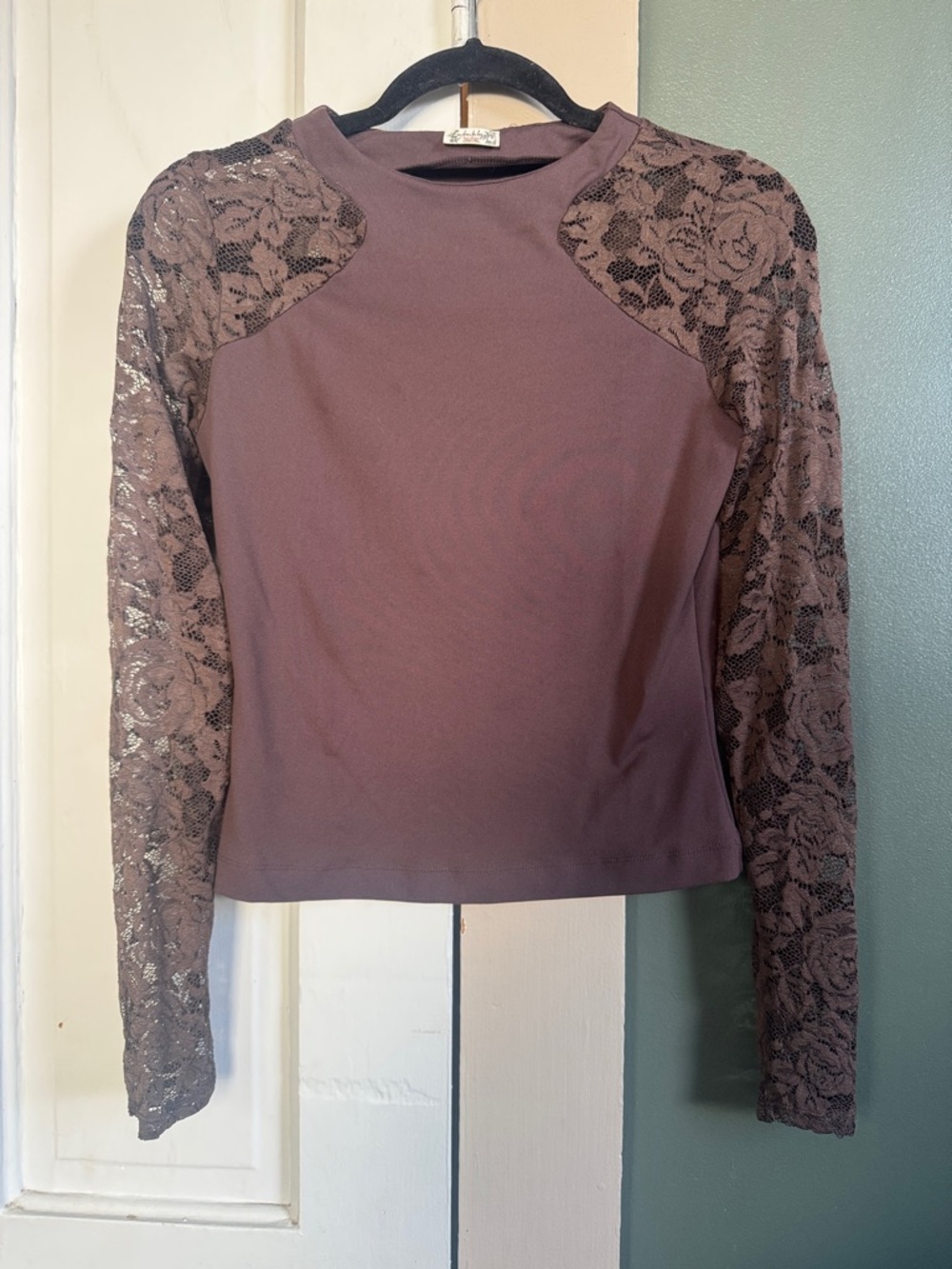 Free People brown Lace-Sleeve Long Sleeve Top